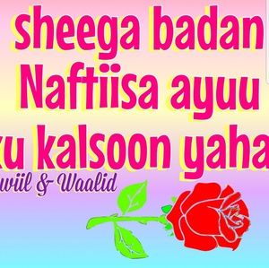 Meet your Posher, Hawo